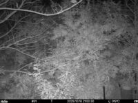 Oct 18 2025 21:00:30, #01