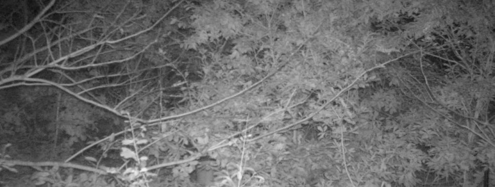 Oct 19 2025  0:00:31, #01