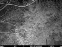 Oct 19 2025  0:00:31, #01