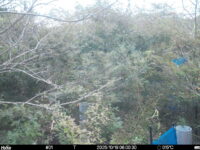 Oct 19 2025  6:00:30, #01