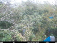 Oct 19 2025  9:00:32, #01