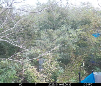 Oct 19 2025  9:00:32, #01