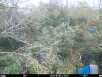 Oct 19 2025 12:00:31, #01