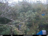 Oct 19 2025 15:00:30, #01