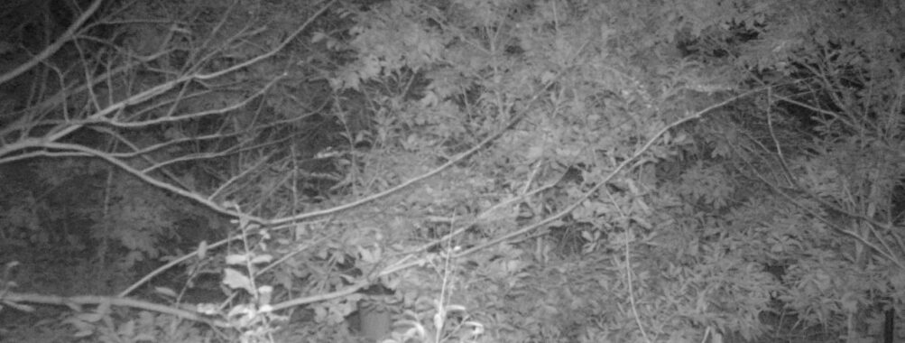Oct 19 2025 18:00:31, #01