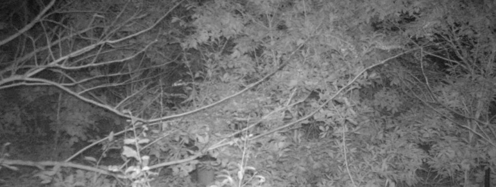 Oct 20 2025  3:00:31, #01