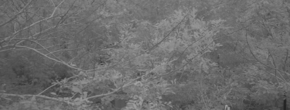 Oct 20 2025  6:00:32, #01