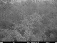 Oct 20 2025  6:00:32, #01