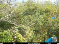 Oct 20 2025  9:00:32, #01