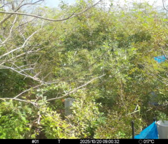 Oct 20 2025  9:00:32, #01