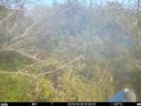 Oct 20 2025 12:00:32, #01