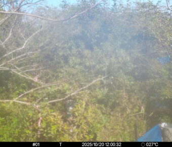 Oct 20 2025 12:00:32, #01