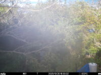 Oct 20 2025 15:00:32, #01