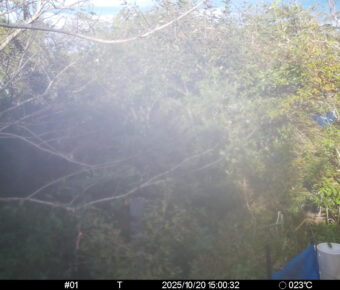 Oct 20 2025 15:00:32, #01