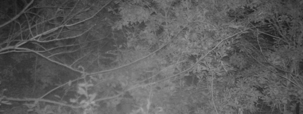 Oct 20 2025 18:00:31, #01