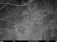 Oct 20 2025 18:00:31, #01