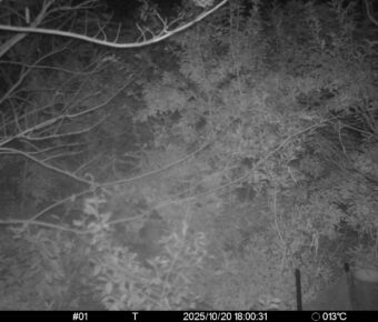 Oct 20 2025 18:00:31, #01