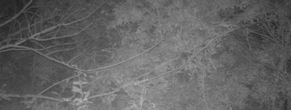 Oct 21 2025  0:00:30, #01