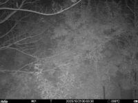 Oct 21 2025  0:00:30, #01