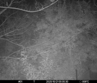 Oct 21 2025  0:00:30, #01