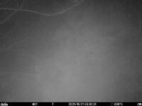 Oct 21 2025  3:00:31, #01