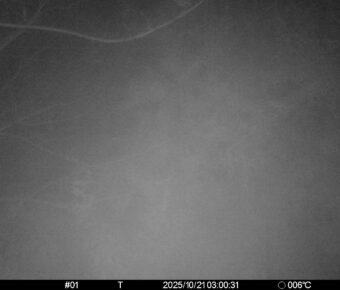 Oct 21 2025  3:00:31, #01