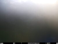 Oct 21 2025  6:00:31, #01