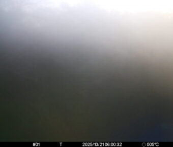 Oct 21 2025  6:00:31, #01