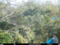 Oct 21 2025  9:00:32, #01