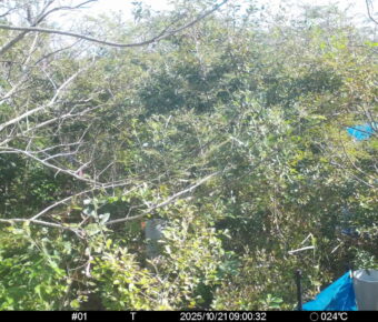 Oct 21 2025  9:00:32, #01