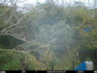 Oct 21 2025 12:00:31, #01