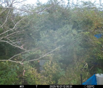 Oct 21 2025 12:00:31, #01