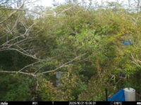 Oct 21 2025 15:00:31, #01