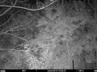 Oct 21 2025 21:00:31, #01