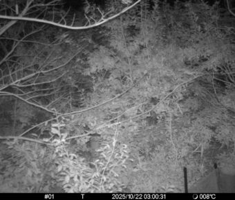 Oct 22 2025  3:00:31, #01