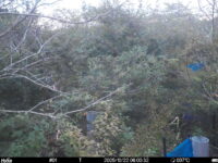 Oct 22 2025  6:00:32, #01