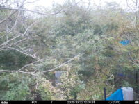 Oct 22 2025 12:00:31, #01