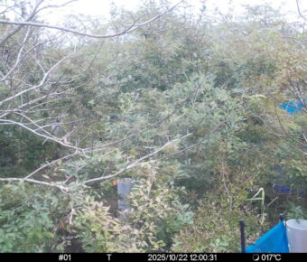 Oct 22 2025 12:00:31, #01