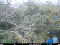 Oct 22 2025 15:00:32, #01