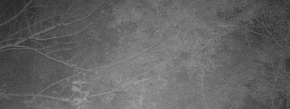 Oct 23 2025  0:00:31, #01