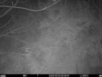 Oct 23 2025  0:00:31, #01