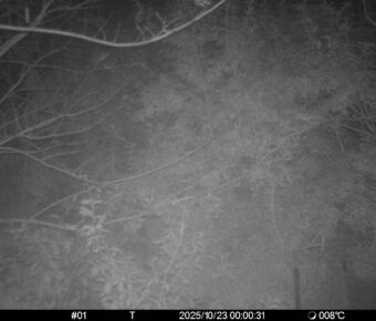 Oct 23 2025  0:00:31, #01