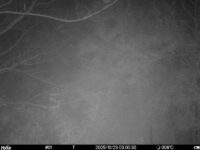 Oct 23 2025  3:00:30, #01