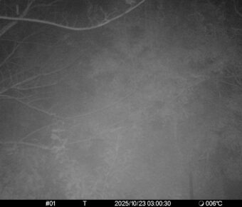 Oct 23 2025  3:00:30, #01