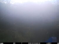 Oct 23 2025  6:00:32, #01