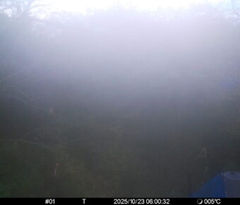 Oct 23 2025  6:00:32, #01