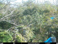 Oct 23 2025  9:00:31, #01