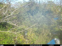 Oct 23 2025 12:00:31, #01