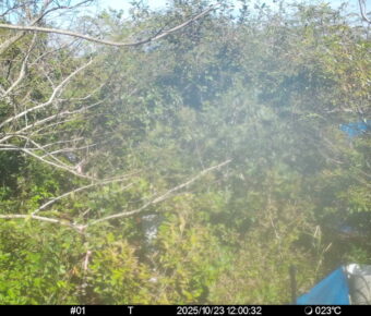 Oct 23 2025 12:00:31, #01