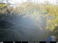 Oct 23 2025 15:00:32, #01